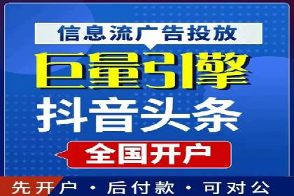 SEM搜索引擎优化策略解析与应用案例